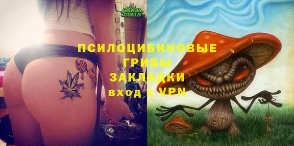 ПСИЛОЦИБИНОВЫЕ ГРИБЫ Заволжск