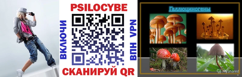 Купить закладки  Тюкалинск  Псилоцибиновые грибы Psilocybine cubensis 